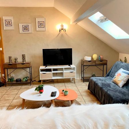 Charmant Appart Sous Toits Proche Chateau Des Ducs Chambéry Exterior foto